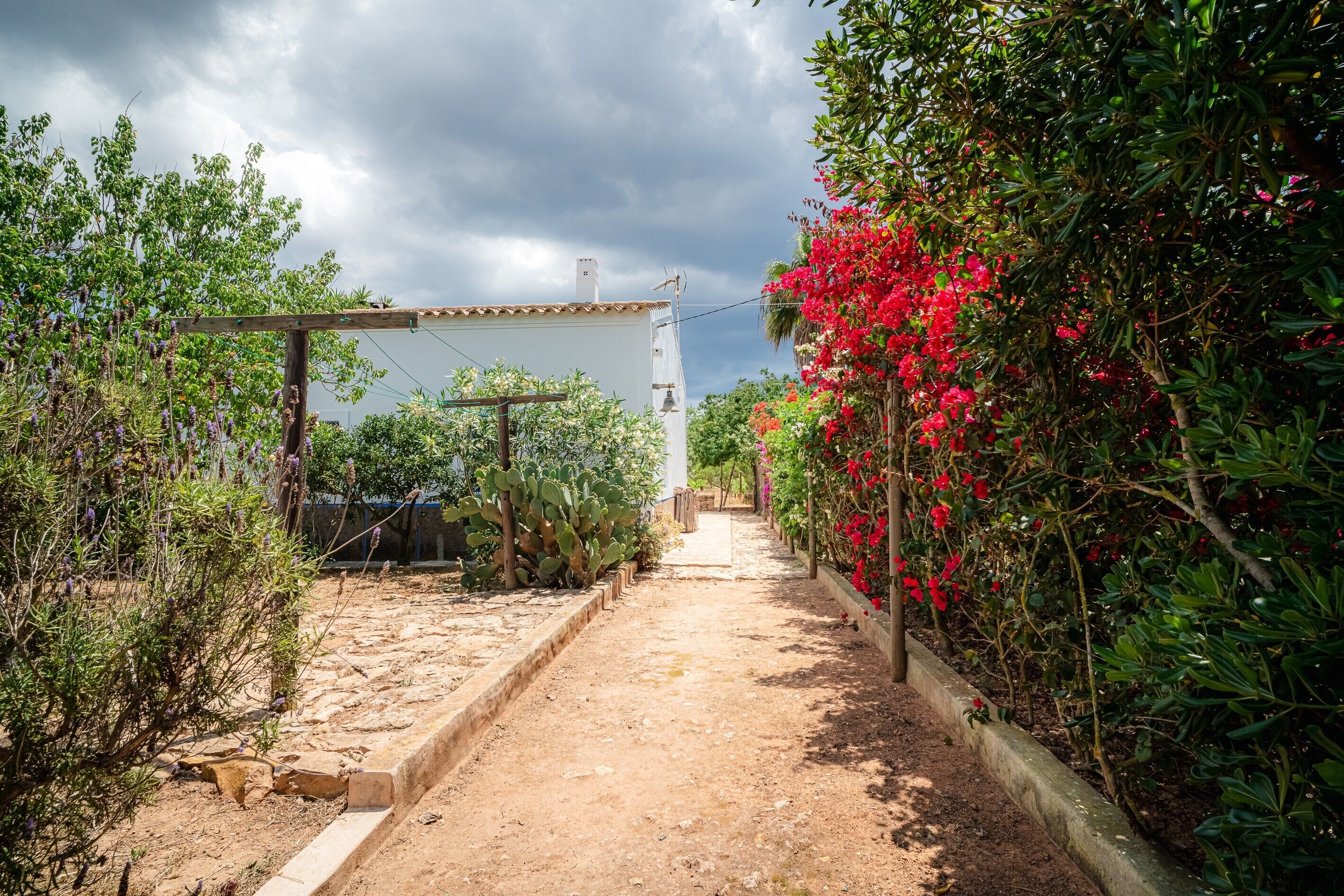 Jardines del alojamiento