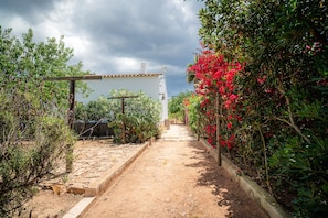 A pathway leading to a white building with a garden on either side.