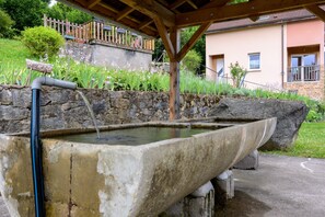 Property grounds - Gîte La Sabaudia in the Heart of the Vosges for 10 Guests (Gérardmer)