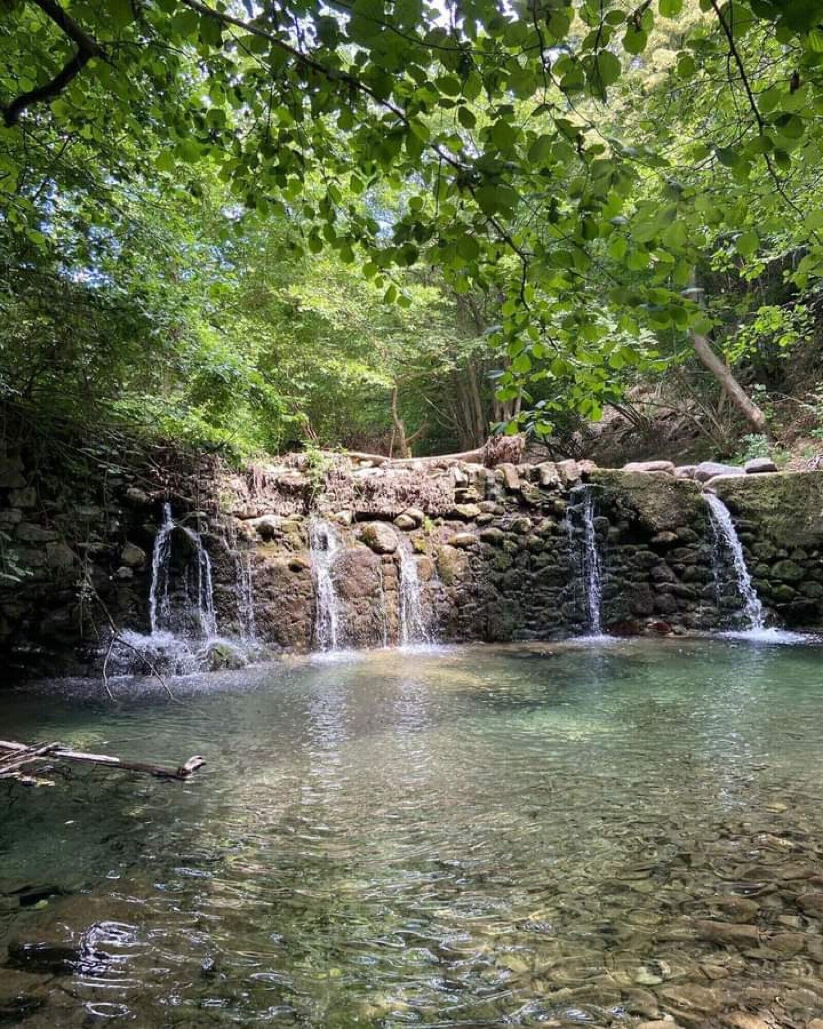 Een natuurlijke waterval in een bebost gebied met helder water en rotsachtige omgeving.