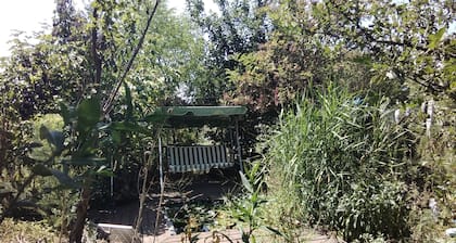 Rustic village retreat in rural Bulgaria. With cats, dog and chickens 😊