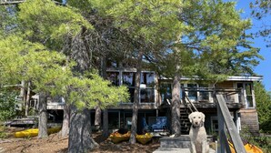 Une terrasse en bois mène à un chalet à plusieurs niveaux, entouré de pins.