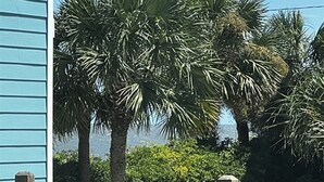 A building with blue siding and a view of palm trees and greenery. - Cozy home sleeps 4 & just a few steps to the beach & Linens Included! (Edisto Island)