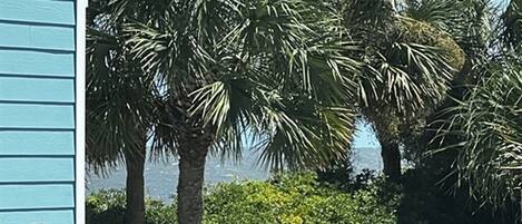 A building with blue siding and a view of palm trees and greenery.