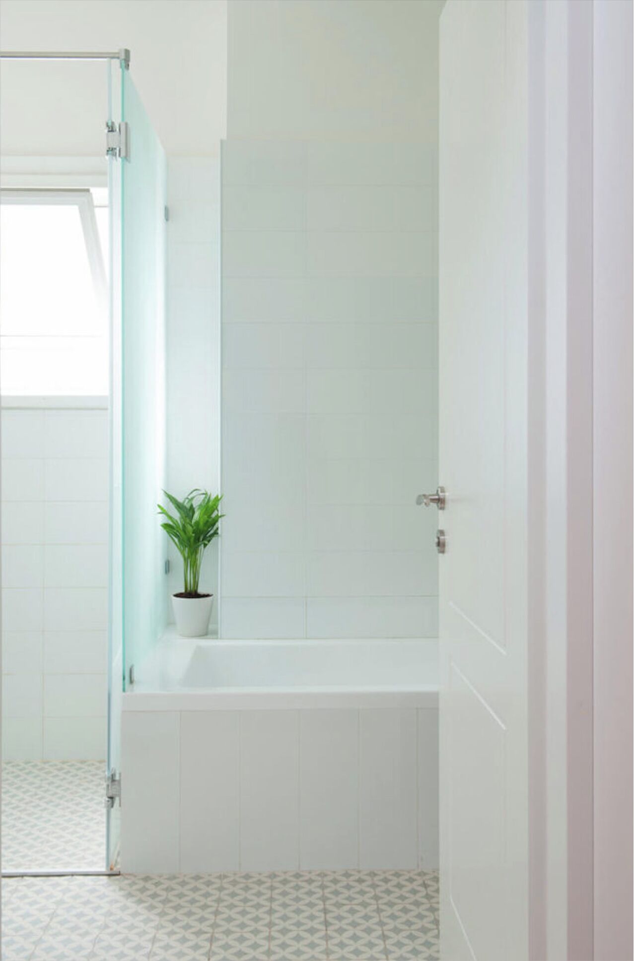 A bathroom with a glass shower enclosure, a white bathtub, and a potted plant.