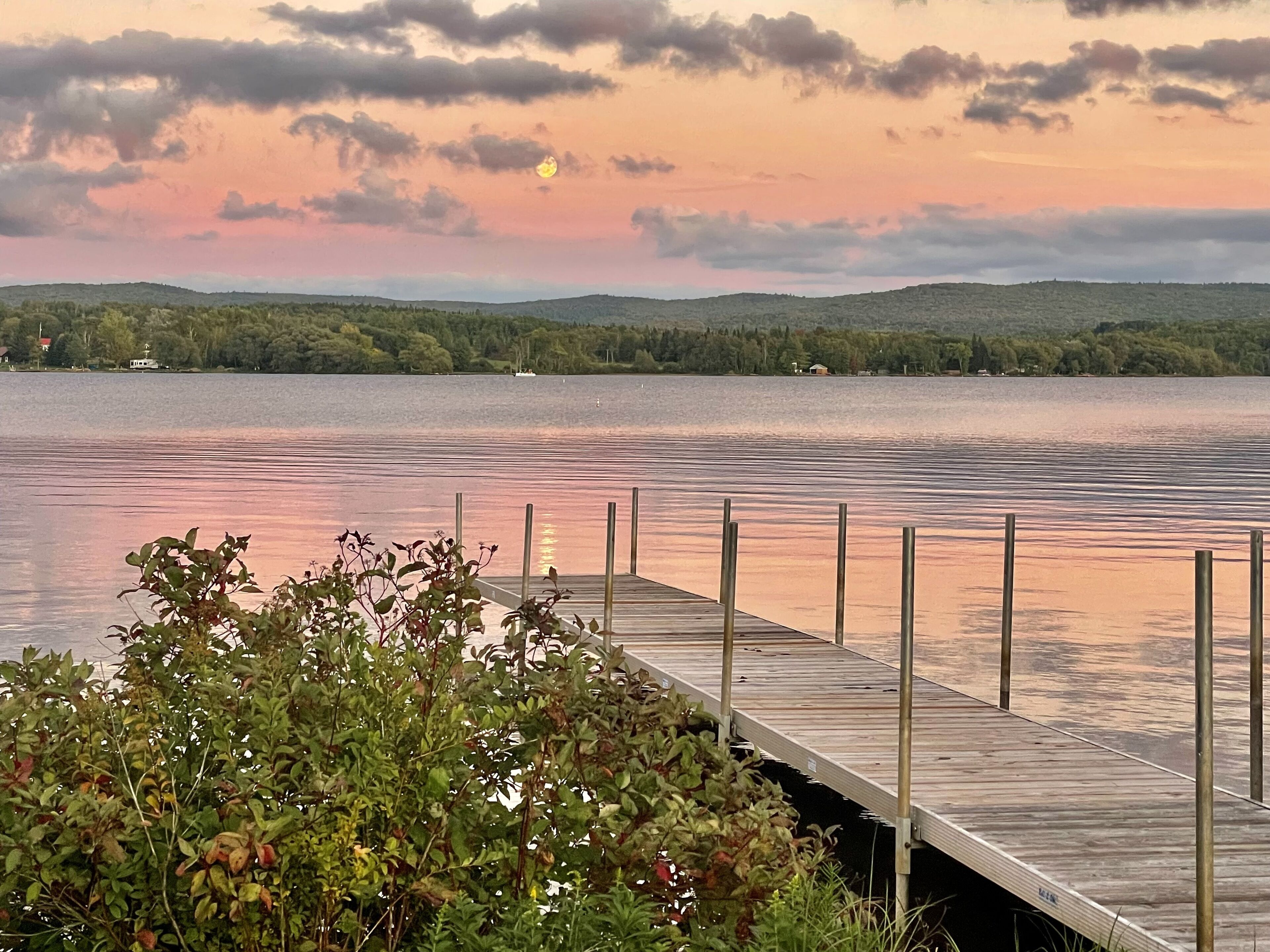 Lakeview bungalow and fishing paradise. 