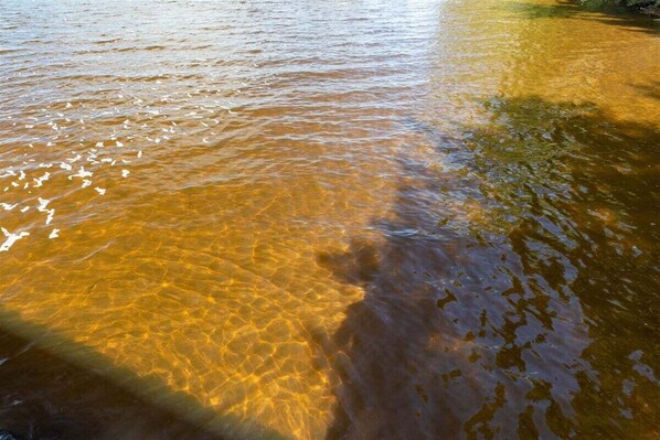 Una vista despejada de un río con el sol reflejándose en el agua.