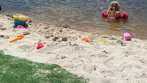 A lake with a sandy beach, a child playing in the water, and a forest in the background. - Lake Demmon Lodge-Beach,Boats,Fishing,FUN!! (Bath)