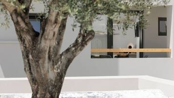 Un arbre se trouve devant un bâtiment moderne doté d’une grande fenêtre et d’un banc en bois.
