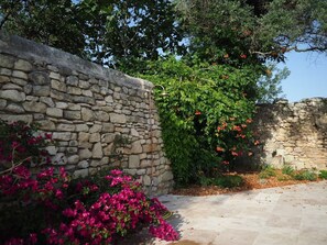 Property grounds - Château de Panisse (Tarascon)