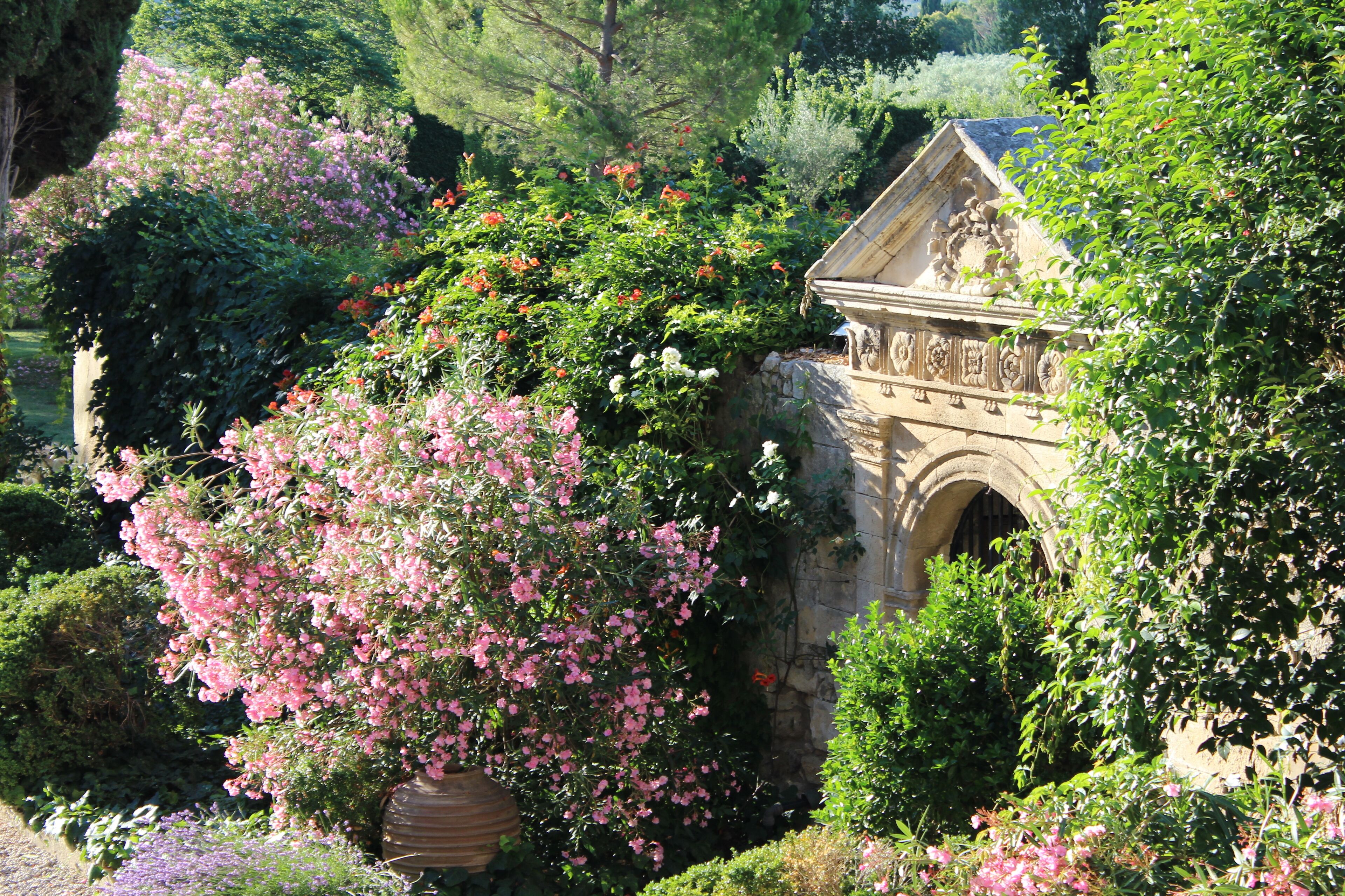 Terrein van de accommodatie
