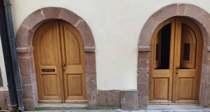 Detached house with large equipped terrace, pets welcome