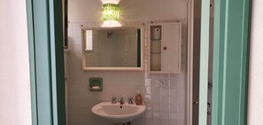 A bathroom with a white sink, a mirror, a green soap dish, and a cabinet with a mirror above it. - Single-family home with a large furnished patio; pets allowed (Bosa)