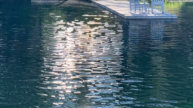 A lakeside cabin with a dock extending into the water, surrounded by dense forest. - Totally private boat access cottage with all amenities (Plevna)
