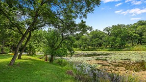 A serene park with a pond covered in lily pads, surrounded by lush greenery and trees. - Lily Pad I Wimberley cottage on Cypress Creek! (Wimberley)