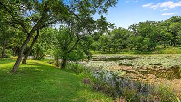 Àrea exterior de l'allotjament