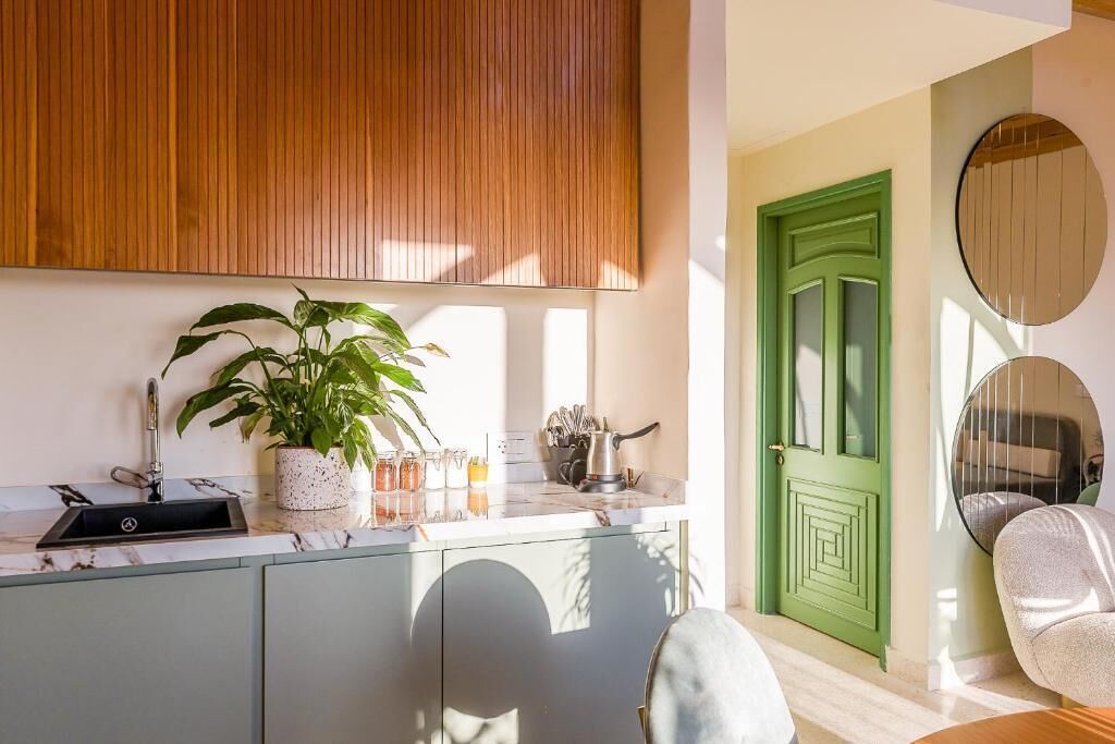 Una cucina moderna con lavello, una pianta in vaso e una porta verde.