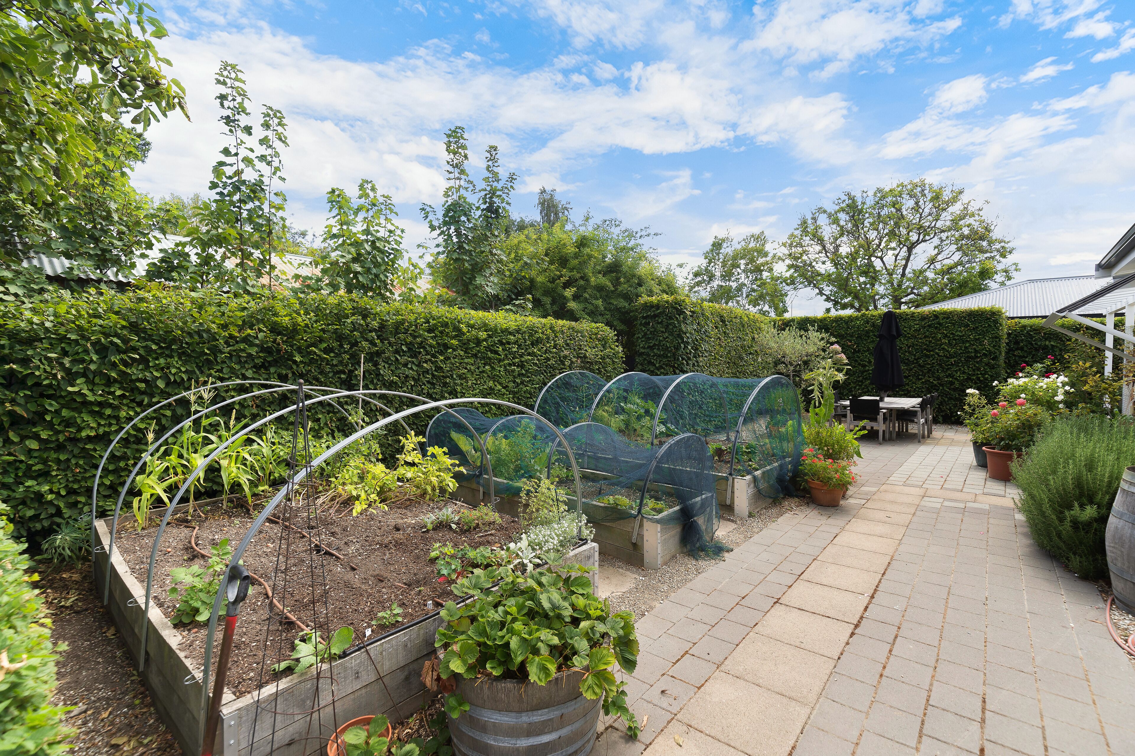 Un giardino con aiuole rialzate, un percorso lastricato e un'area relax coperta.