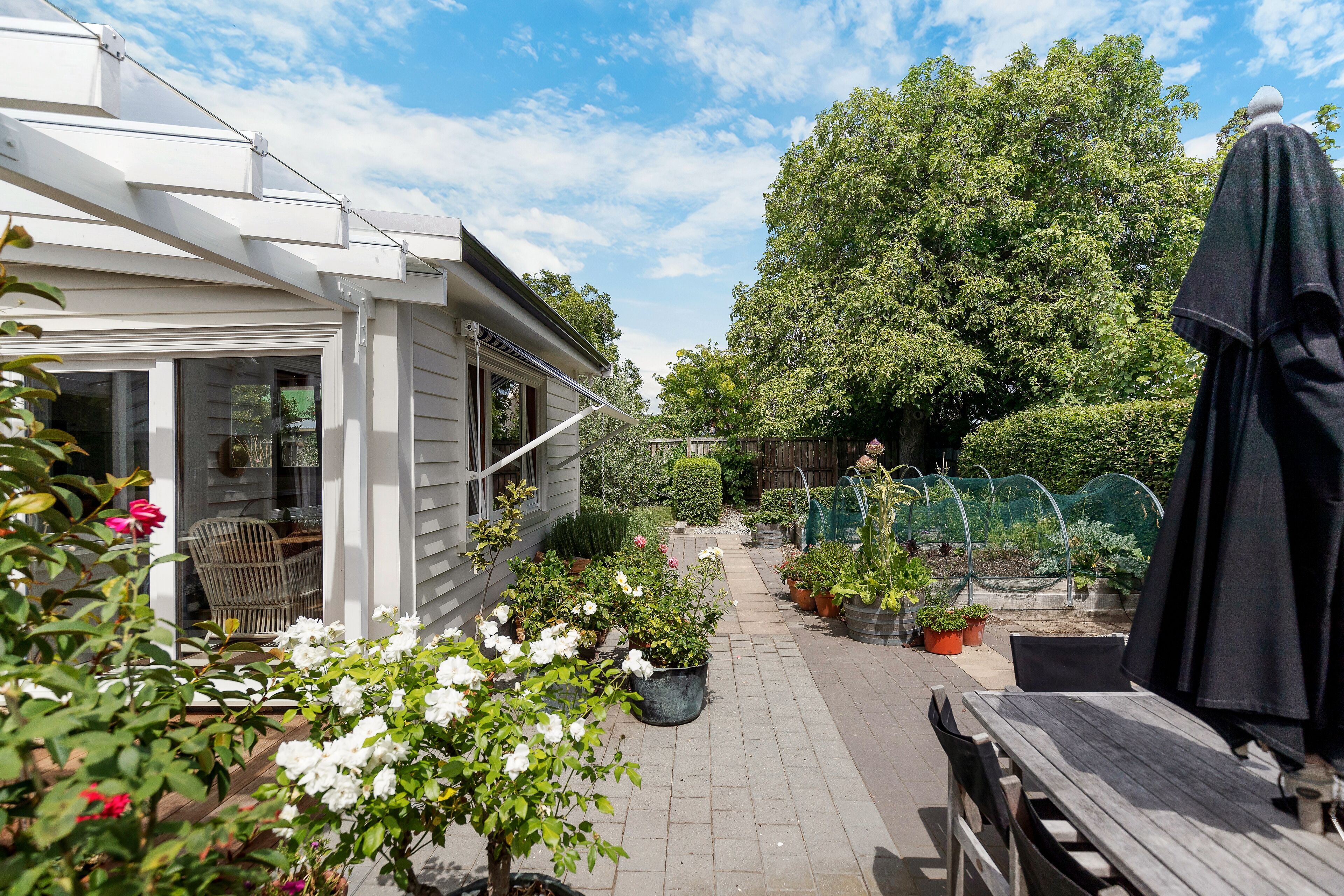 A patio area with a wooden table and chairs, potted plants, and a garden with a greenhouse.