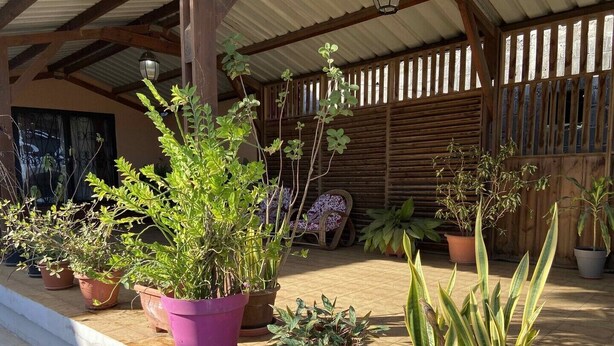A covered outdoor area with various potted plants and a wooden fence. - Résidences Gamly (Mamoudzou)