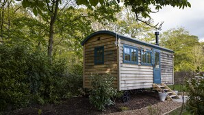 A small wooden cabin with a curved roof, a blue door, and a chimney. It is surrounded by dense greenery and has a gravel path leading to it.
