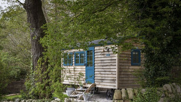 A wooden cabin with a blue door and windows, surrounded by greenery and a stone wall. - Woodlands Shepherd's Hut Chatsworth Estate (Baslow)