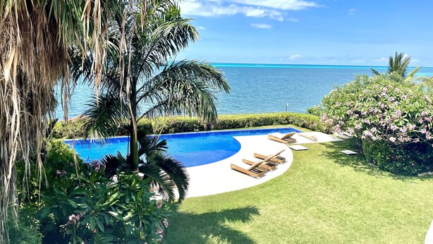 Una piscina de borde curvo, rodeada por un césped cuidado y diversas plantas tropicales.