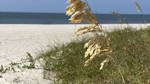 Uma praia com areia e vegetação rala.
