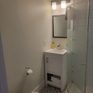 Ducha, toallas, jabón y champú