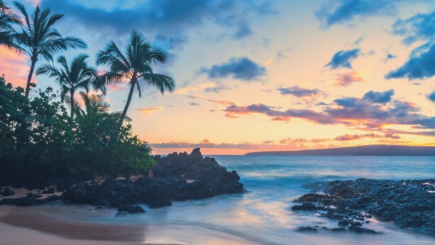A beach with palm trees and a rocky shoreline. - Renovated 1BR at Maui Banyan - Pool, Hot Tub, A/C (Kihei)