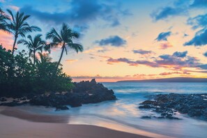 A beach with palm trees and a rocky shoreline.