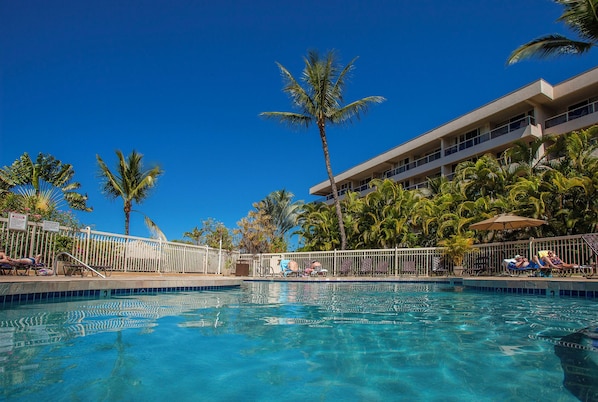 A pool area with clear blue water, surrounded by palm trees and a building with balconies.