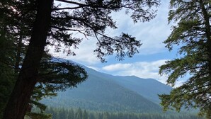 Eine Berglandschaft mit blauem Himmel, einer grünen Wiese und einem bewaldeten Gebiet.