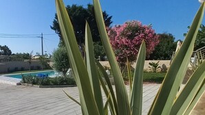 A potted plant with long, green leaves in a tiled outdoor area. - Villa Stella Marina (Punta Milocca)