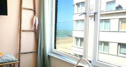 Joli Studio vue sur Mer, Bord de Plage de Ostende Refait à Neuf Cosy et Tendance