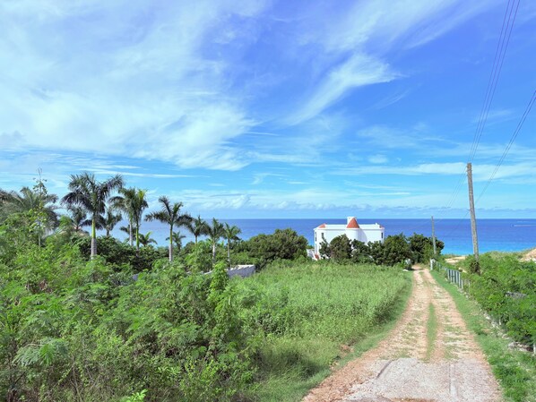 A coastal road with a white building, palm trees, and a clear blue sky.