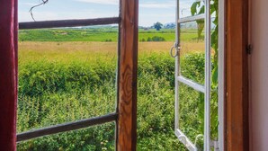 Vista a través de una ventana abierta con marco de madera, mostrando un campo verde exuberante y colinas al fondo.