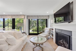 Smart TV, fireplace, books