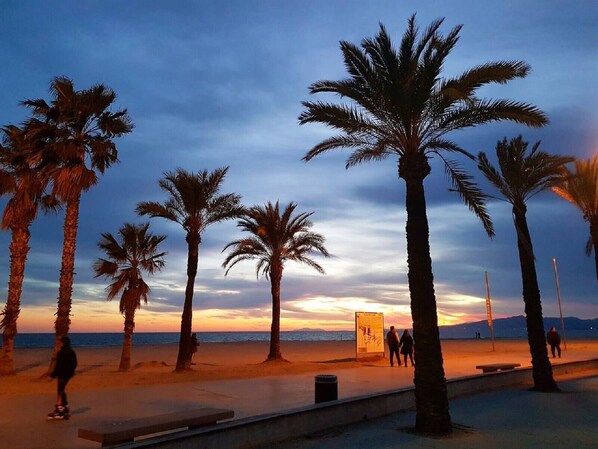 Accommodatie ligt op het strand