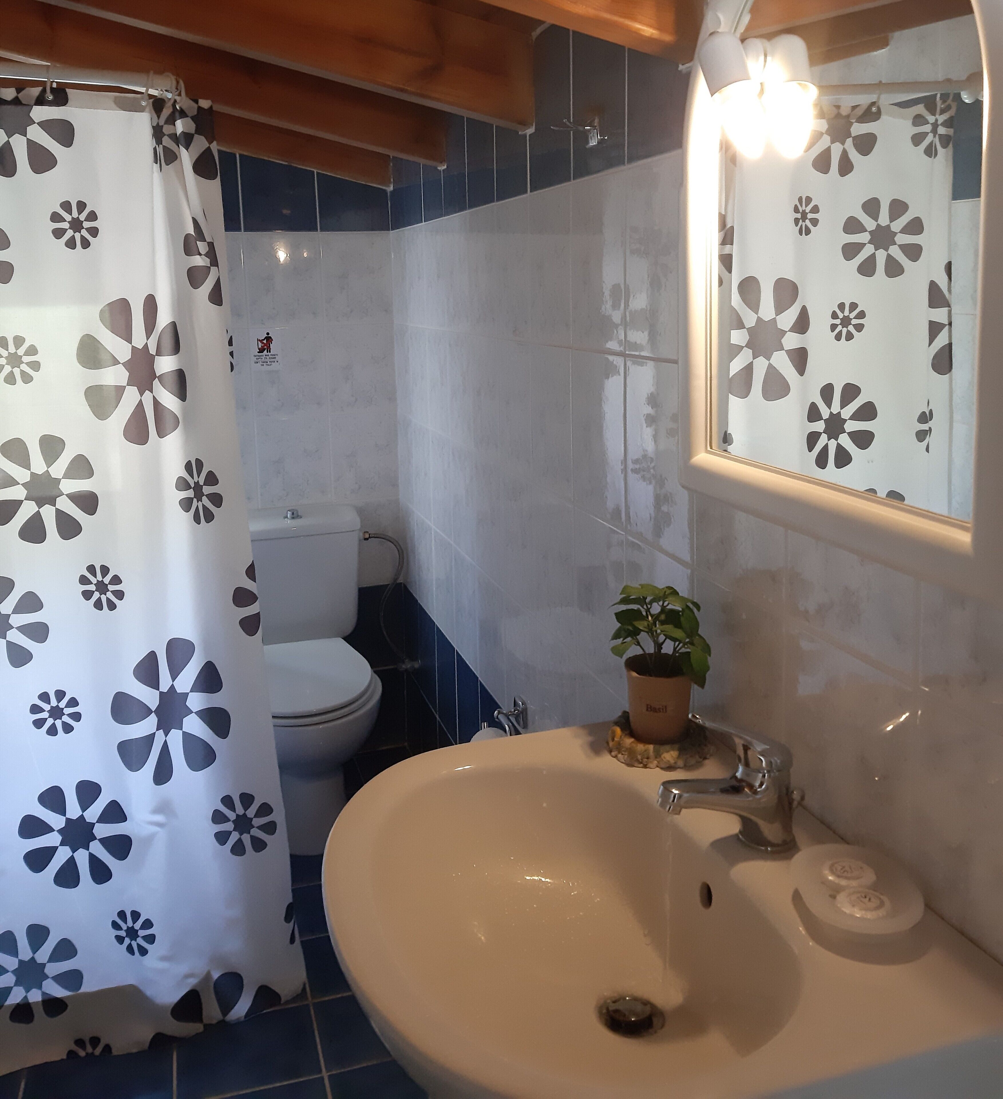 Un bagno con lavandino bianco, un water e una tenda da doccia con motivo floreale.