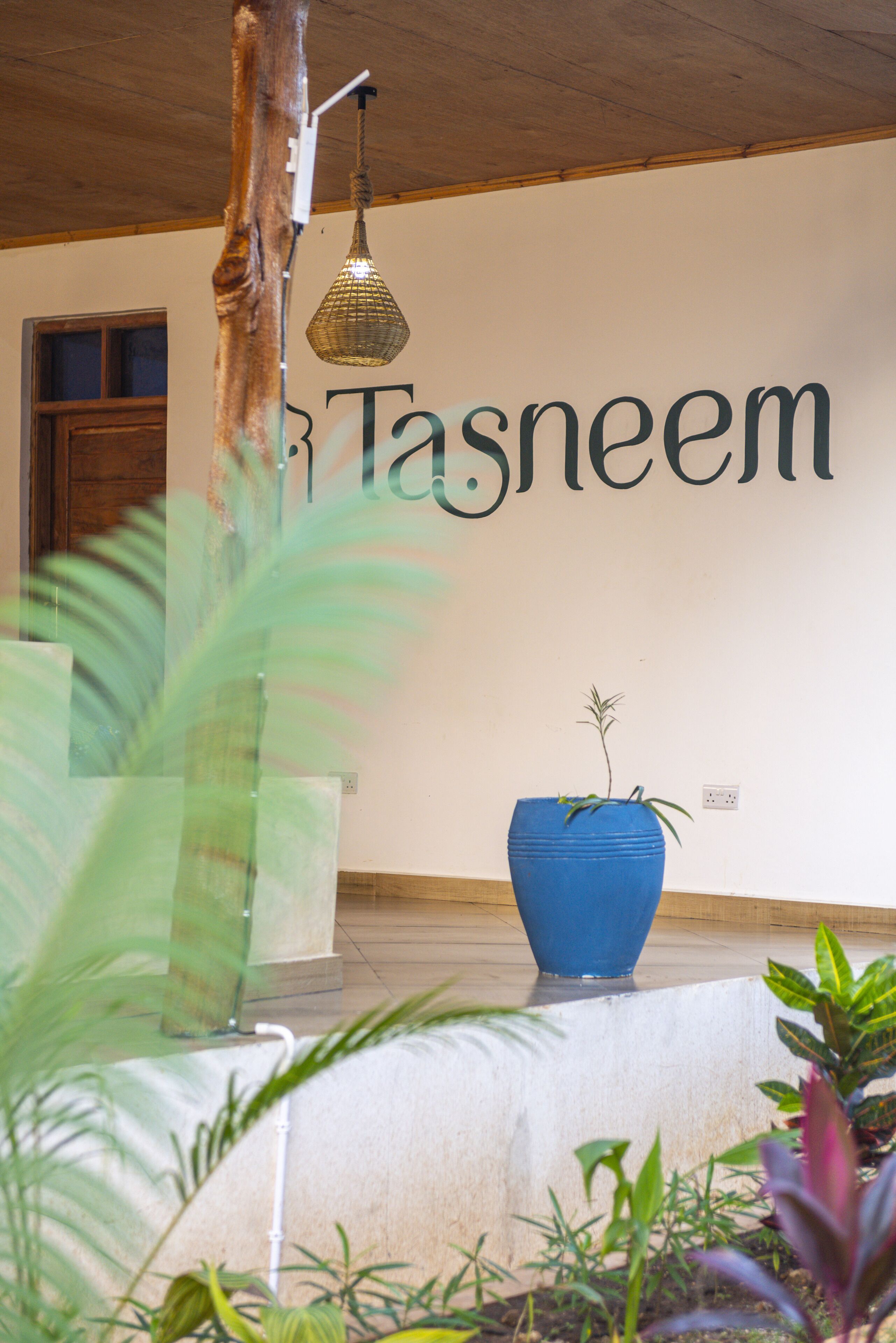 A room with a large wall sign reading "Tasneem," a blue planter with a plant, and a hanging light fixture.