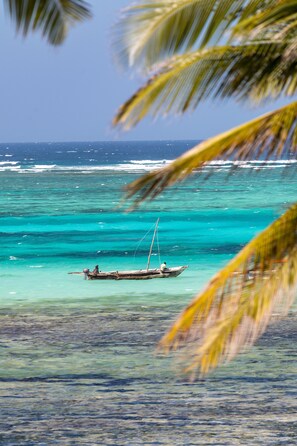 A boat on turquoise water with a clear view of the ocean and a palm tree in the foreground. - TASNEEM LUXURY APPARTMENT  (Jambiani)