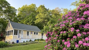 Ein zweistöckiges Haus mit Veranda, umgeben von üppigem Grün und blühenden rosa Rhododendren.