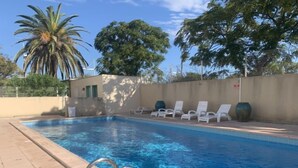 Una piscina con agua azul cristalina, rodeada de sillones de descanso y una palmera.