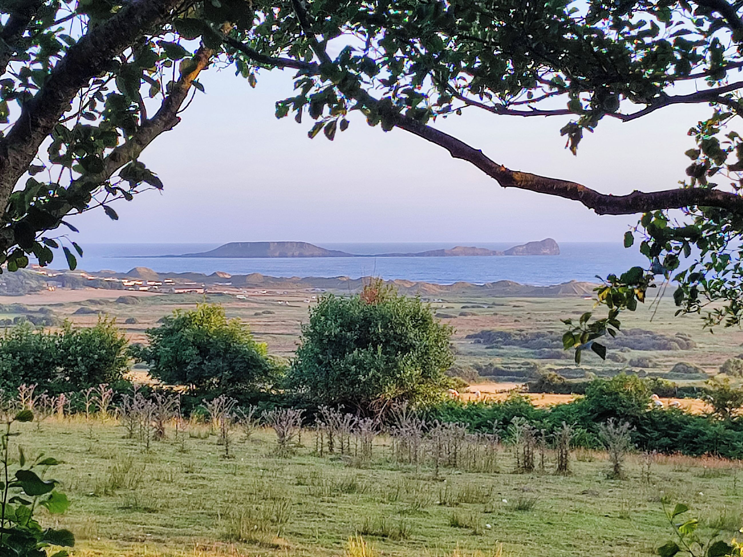 A coastal landscape with a view of the sea and distant islands.