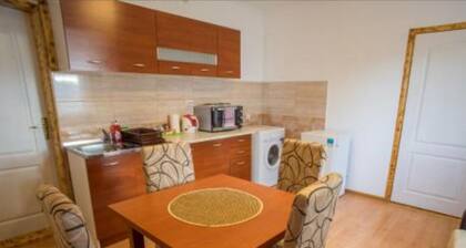 Central Apartment Jelena