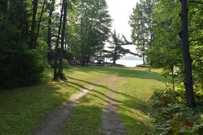 A forested area with a gravel path leading to a cabin by a lake.