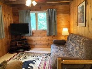 A wooden cabin interior with a television, a patterned sofa, a rug with animal prints, and a window with curtains.