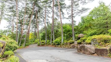 A paved road surrounded by dense trees and greenery.