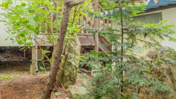 A small tree in a garden area with a wooden structure in the background.